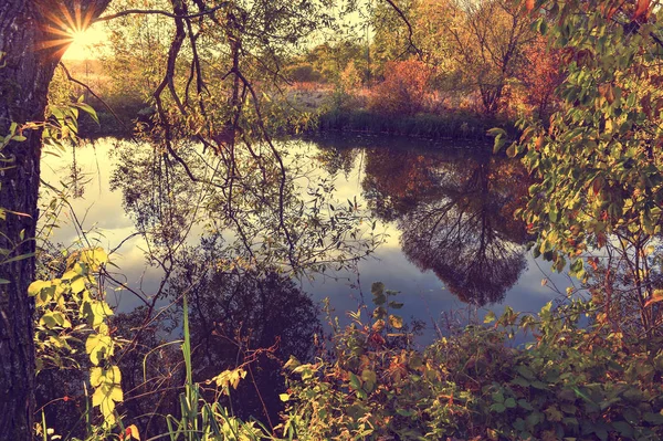 Güneşli bir günde su ve bulutlar ağaçlar ile renkli sonbahar manzara