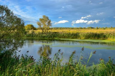 Renkli sonbahar yatay, bir nehir ve bulutlar