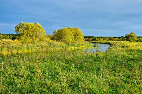 Renkli sonbahar yatay, bir nehir ve bulutlar