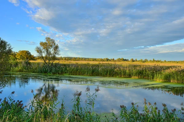 Renkli sonbahar yatay, bir nehir ve bulutlar