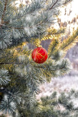 Noel ağaçları, dalları oyuncak