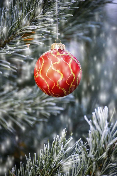 Grenarna av julgranar, Leksak — Stockfoto