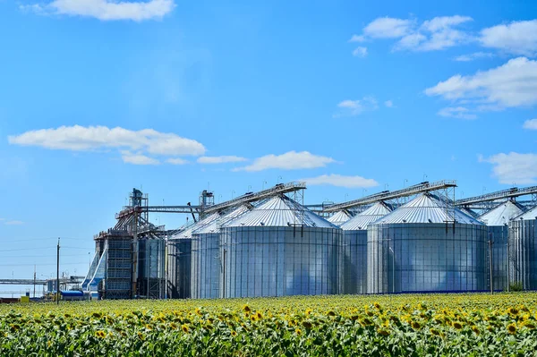 Завод з виробництва соняшникової олії та соняшникове поле — стокове фото