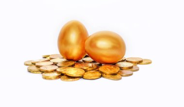 Altın ve altın yumurta, finansal büyüme kavramı