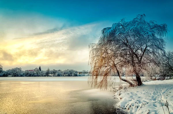 Paysage hivernal avec arbre couvert de givre et coucher de soleil coloré — Photo