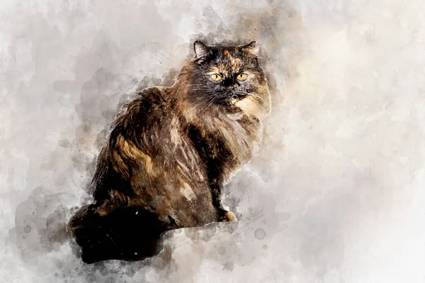 Fluffy black-haired cat sitting and looking sadly . Stylization in watercolor drawing. — 图库照片