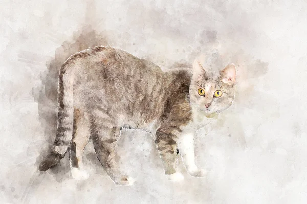 Изящный серый кот с желтыми глазами стоит и смотрит на камеру.. Стилизация в акварели рисунок . — стоковое фото