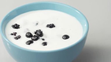 Taze sağlıklı yiyecekler. Böğürtlenler yoğurt ve kremalı böğürtlenlerle mavi kaseye düşüyor. Kremalı taze meyveler. Organik böğürtlen, temiz yemek, vegan gıda konsepti. Yavaş çekim.
