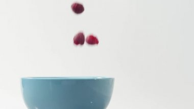 Taze sağlıklı yiyecekler. Ahududu, yoğurt ve kremayla mavi kaseye düşüyor. Kremalı taze meyveler. Organik böğürtlen, temiz yemek, vegan gıda konsepti. Yan görüş. Yavaş çekim.
