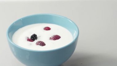 Taze sağlıklı yiyecekler. Böğürtlenler yoğurt ve krem şantili ahududu ile mavi kaseye düşüyor. Kremalı taze meyveler. Organik böğürtlen, temiz yemek, vegan gıda konsepti. Yavaş çekim.