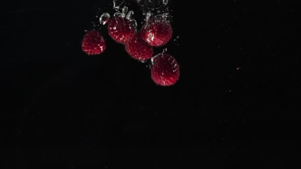 Fresh Healthy Food Red Raspberries Falling Water Black Background Fresh — Stock Video