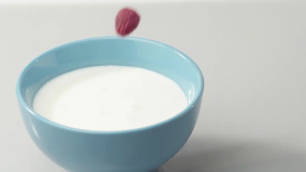 Fresh Healthy Food Raspberries Falling Blue Bowl Yogurt Whipped Cream — Stock Video