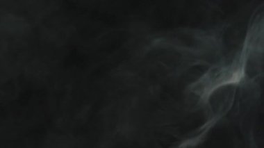 Siyah arka plandaki beyaz dumandan fırlamış kahve çekirdekleri. Dumanlı, dumanlı, mis kokulu taze kahve çekirdekleri. Yavaş Hareket. 