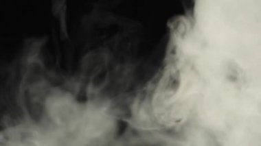 Siyah arka plandaki beyaz dumandan fırlamış kahve çekirdekleri. Dumanlı, dumanlı, mis kokulu taze kahve çekirdekleri. Yavaş Hareket. 