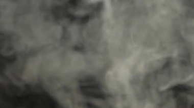 İki kavrulmuş kahve çekirdeği siyah arka plandaki beyaz dumandan birbirlerine doğru fırlatılır. Dumanlı, dumanlı, mis kokulu taze kahve çekirdekleri. Yavaş Hareket. 