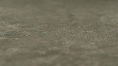 Kavrulmuş kahve çekirdekleri seramik zemine düşüyor. Taze kokulu kahve çekirdekleri. Yavaş Hareket.