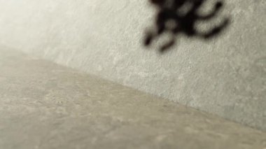 Kavrulmuş kahve çekirdekleri seramik zemine düşüyor. Taze kokulu kahve çekirdekleri. Yavaş Hareket.