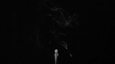 Alttan gelen gerçekçi, soyut duman buharı etkisi. Siyah arka planda beyaz duman yavaş çekimde. Uzayda siyah arkaplan üzerinde süzülen sis bulutu.