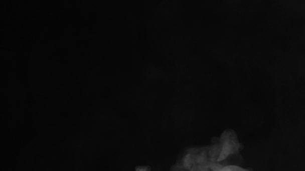 现实的抽象烟雾效果从底部到右边 黑色背景下慢速移动的白烟 在黑暗的背景上飘扬着浓雾 — 图库视频影像