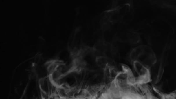 现实的抽象烟雾从底部的效果 黑色背景下慢速移动的白烟 在黑暗的背景上飘扬着浓雾 — 图库视频影像