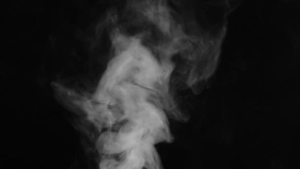 現実的な抽象的な煙蒸気の効果の下から上に 黒を背景にスローモーションで白い煙 宇宙空間を流れる黒い背景に浮かぶ霧の雲 — ストック動画