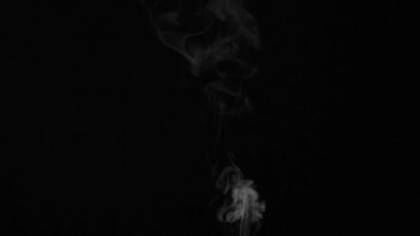 现实的抽象烟雾从底部的效果 黑色背景下慢速移动的白烟 在黑暗的背景上飘扬着浓雾 — 图库视频影像