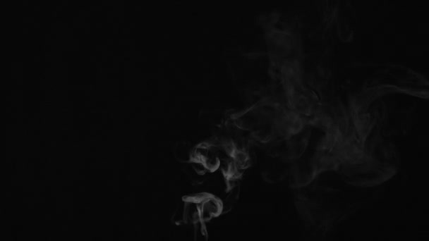 Realistisk Abstrakt Rökångeffekt Underifrån Vit Rök Slow Motion Svart Bakgrund — Stockvideo