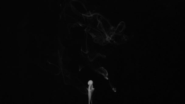 Realistische Abstrakte Rauchdampfwirkung Von Unten Weißer Rauch Zeitlupe Auf Schwarzem — Stockvideo