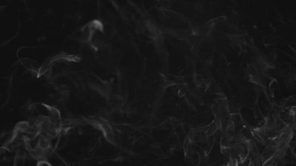 现实的抽象烟雾效果 黑色背景下慢速移动的白烟 在黑暗的背景上飘扬着浓雾 — 图库视频影像