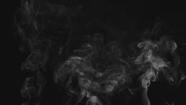 Realistický Abstraktní Efekt Kouřové Páry Bílý Kouř Zpomaleném Filmu Černém — Stock video