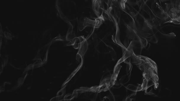 Efecto Vapor Humo Abstracto Realista Palos Indios Humo Blanco Cámara — Vídeo de stock