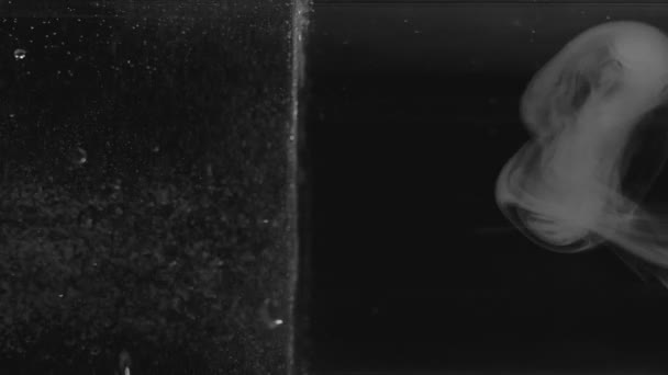 Realistický Abstraktní Kouřový Efekt Pravé Strany Setkává Bublinkovou Vodou Levé — Stock video