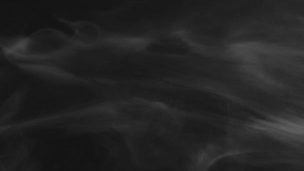 Reális Elvont Füstgőz Elszáll Fekete Háttérből Fehér Füst Felhő Fekete — Stock videók