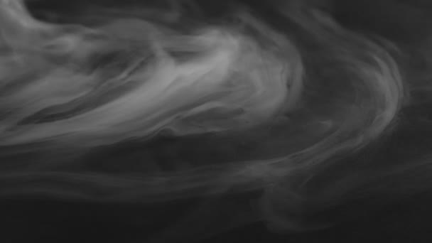 现实的抽象烟雾在黑色背景上从左边向右边扩散 白色的烟云笼罩了整个空间的黑色背景 飘飘欲仙 — 图库视频影像