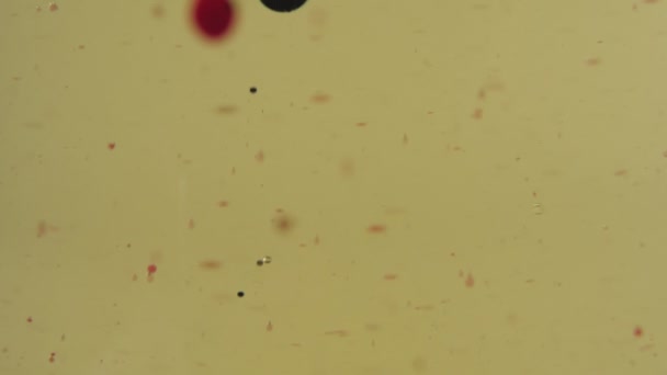 红色和透明的气泡漂浮在金液体中 透明杯子里的颜色会下降 靠近点 慢动作 — 图库视频影像