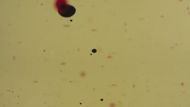 Bulles noires, rouges et transparentes flottant dans le liquide doré. La couleur tombe dans la tasse transparente. Ferme là. Mouvement lent .