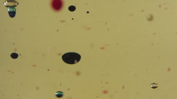 Bulles Noires Rouges Transparentes Flottant Dans Liquide Doré Couleur Tombe — Video