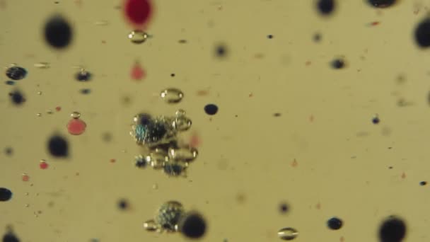 Bulles Noires Rouges Transparentes Flottant Dans Liquide Doré Couleur Tombe — Video