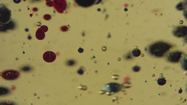 Bolhas Pretas Vermelhas Transparentes Flutuando Líquido Dourado Gotas Cor Copo — Vídeo de Stock