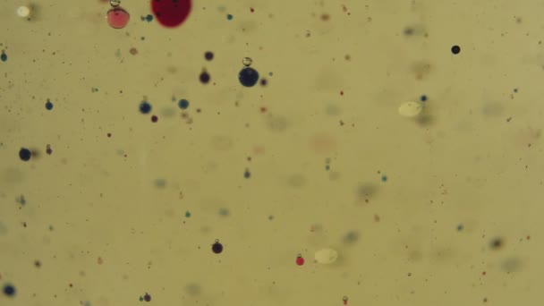 Altın Sıvısında Yüzen Siyah Kırmızı Şeffaf Kabarcıklar Şeffaf Fincanda Renk — Stok video