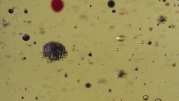 Schwarze Rote Violette Und Transparente Blasen Die Der Goldenen Flüssigkeit — Stockvideo