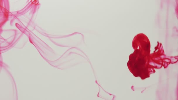 Goutte Encre Rouge Sur Fond Blanc Pigment Rouge Mélange Dans — Video