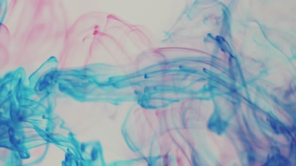 Laisser Tomber Encre Rouge Bleue Sur Fond Blanc Les Pigments — Video