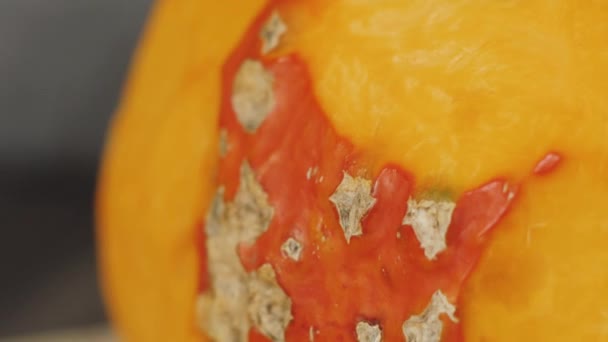 Cremige Kürbissuppe Kochen Gesunde Ernährung Messer Schneidet Einen Frischen Orangenkürbis — Stockvideo