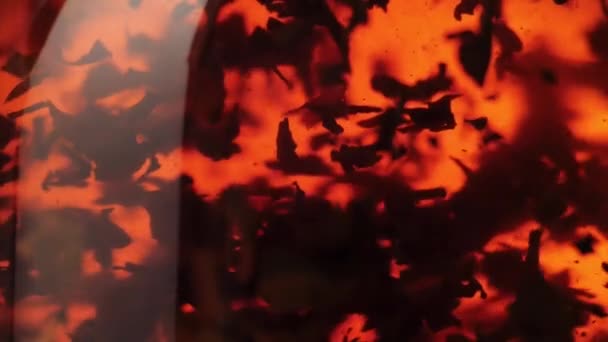 Cérémonie du thé. Les feuilles de thé noir flottent et tournent dans une théière transparente. Ferme là. Mouvement lent 