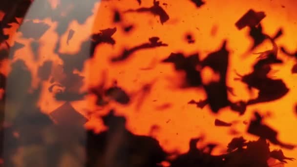 Cérémonie du thé. Les feuilles de thé noir flottent et tournent dans une théière transparente. Ferme là. Mouvement lent 