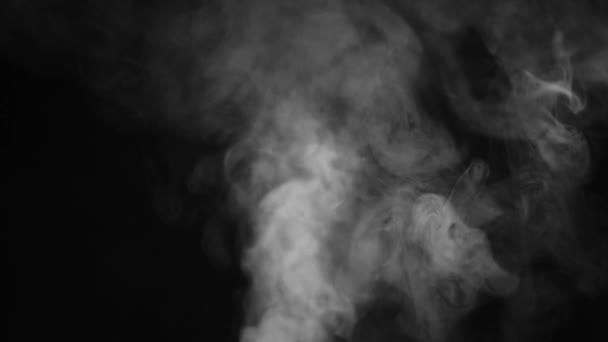 煙の多い蒸気霧 現実的な抽象的な煙蒸気の効果の下から上に 黒を背景にスローモーションで白い煙 宇宙空間を流れる黒い背景に浮かぶ霧の雲 — ストック動画