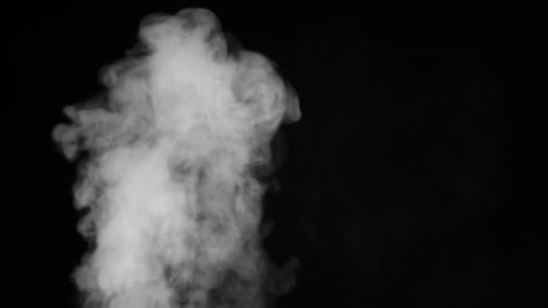 煙の多い蒸気霧 左下から上へのリアルな抽象的な煙蒸気効果 黒を背景にスローモーションで白い煙 宇宙空間を流れる黒い背景に浮かぶ霧の雲 — ストック動画