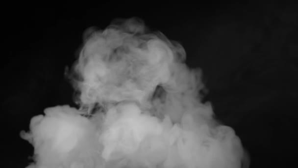 Smoky Steamy Fog Realistic Abstract Smoke Vapor Effect Bottom Top — Stock Video