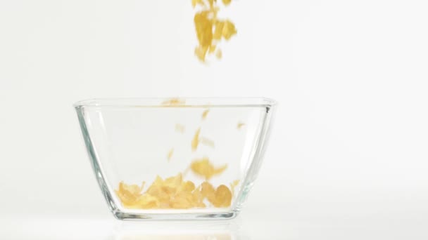 Färsk Hälsosam Mat Gula Cornflakes Faller Transparent Fyrkantig Skål Vit — Stockvideo